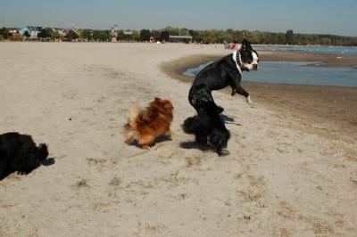 Oct7e_04_074.JPG