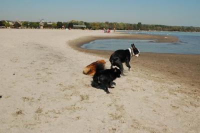 Oct7e_04_075.JPG