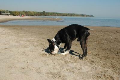 Oct7e_04_085.JPG