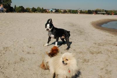 Oct7e_04_103.JPG