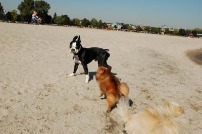 Oct7e_04_105.JPG