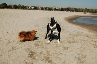 Oct7e_04_110.JPG