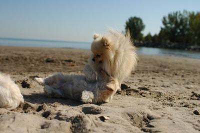 Oct7e_04_184.JPG