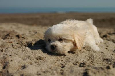 Oct7e_04_237.JPG