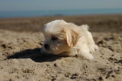Oct7e_04_244.JPG