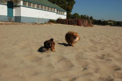 Oct7_04_020.JPG