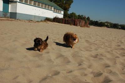 Oct7_04_021.JPG