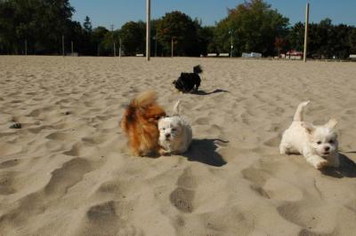Oct7_04_032.JPG
