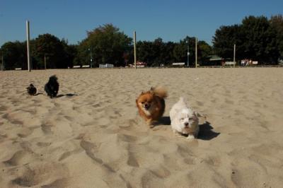 Oct7_04_039.JPG