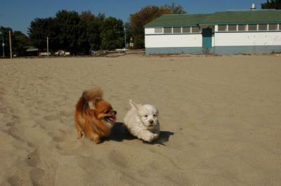 Oct7_04_049.JPG