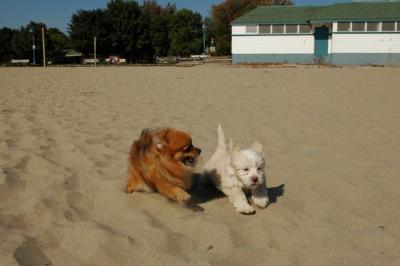 Oct7_04_050.JPG