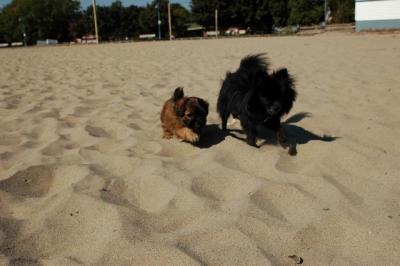 Oct7_04_055.JPG