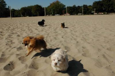 Oct7_04_074.JPG