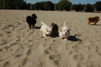 Oct7_04_086.JPG