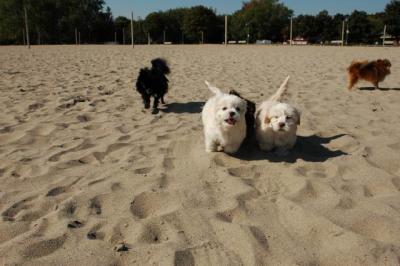 Oct7_04_087.JPG