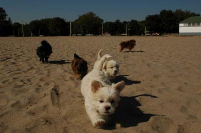 Oct7_04_089.JPG
