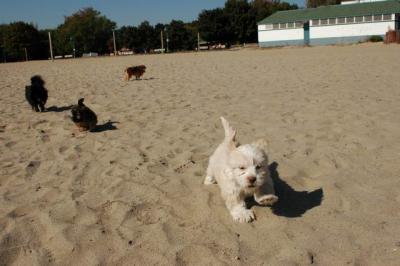 Oct7_04_094.JPG