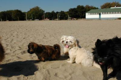 Oct7_04_095.JPG