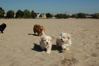 Oct7_04_117.JPG