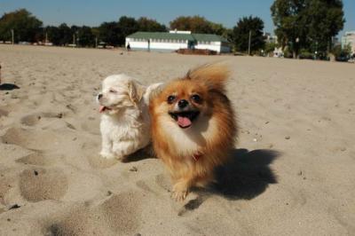 Oct7_04_142.JPG
