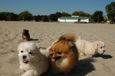 Oct7_04_144.JPG