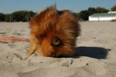 Oct7_04_156.JPG