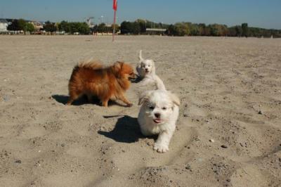 Oct7_04_203.JPG