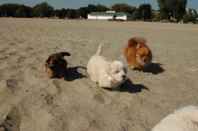 Oct7_04_215.JPG