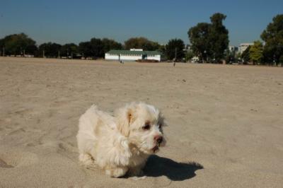 Oct7_04_308.JPG