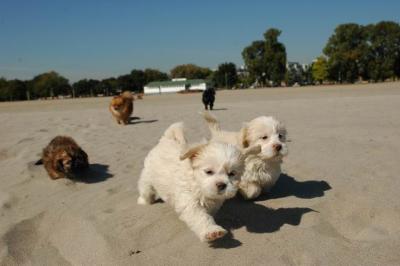 Oct7_04_587.JPG