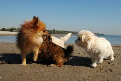 Oct7_04_647.JPG