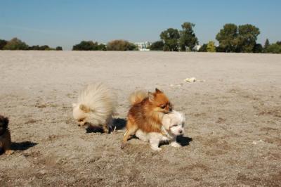 Oct7_04_657.JPG