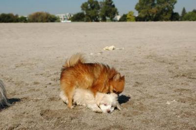 Oct7_04_659.JPG