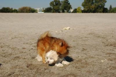 Oct7_04_662.JPG