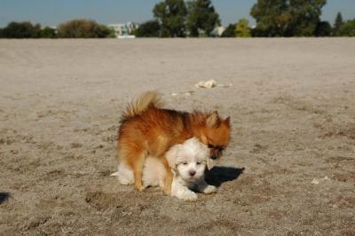 Oct7_04_664.JPG