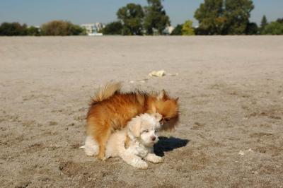 Oct7_04_668.JPG