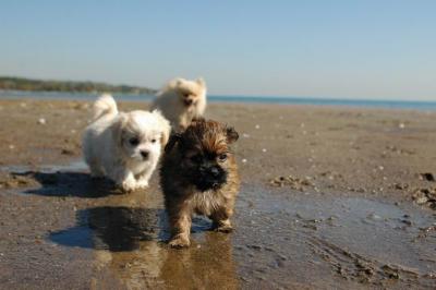 Oct7_04_680.JPG
