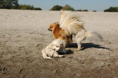 Oct7a_04_006.JPG