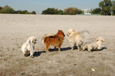 Oct7a_04_026.JPG