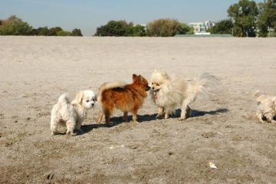 Oct7a_04_029.JPG