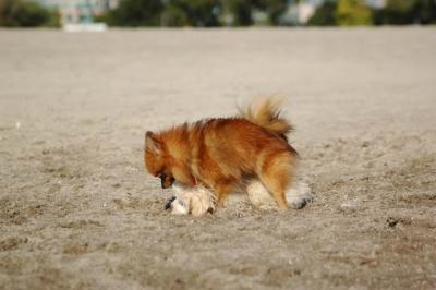 Oct7a_04_036.JPG