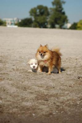 Oct7a_04_043.JPG