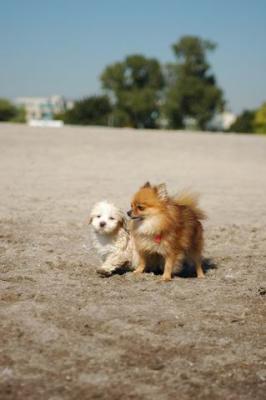 Oct7a_04_045.JPG
