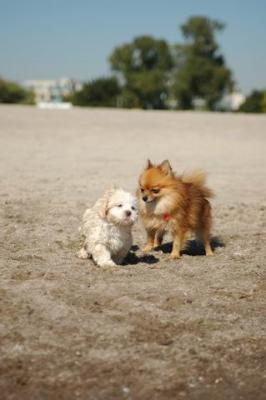 Oct7a_04_046.JPG