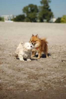 Oct7a_04_047.JPG
