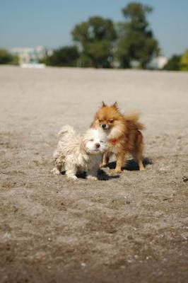Oct7a_04_048.JPG