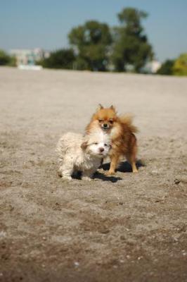Oct7a_04_049.JPG