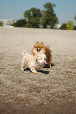 Oct7a_04_050.JPG