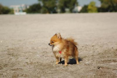 Oct7a_04_055.JPG