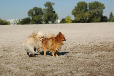 Oct7a_04_066.JPG